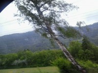 /album/fotogalerij/a2013-06-02-14-54-45-jpg/